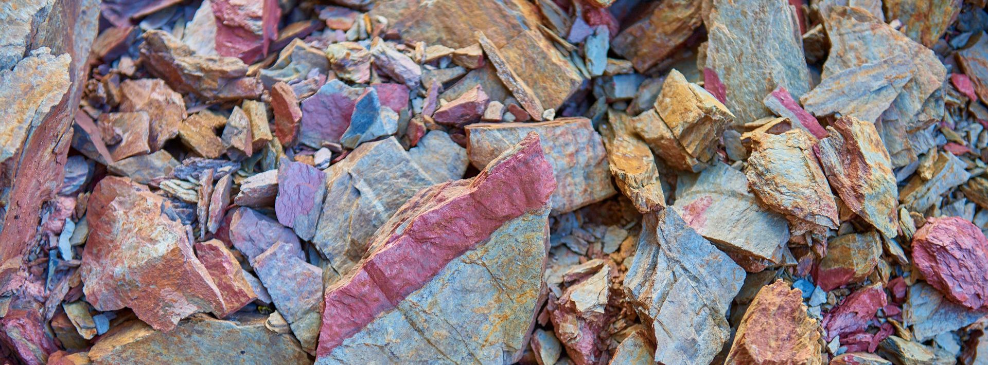 Terroir am Karthäuserhofberg.