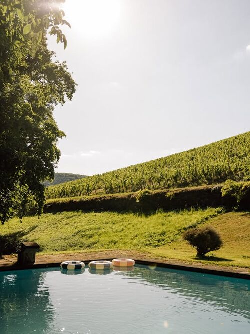 Bild des Posts "A quiet moment with Karthäuserhofberg watching it all."