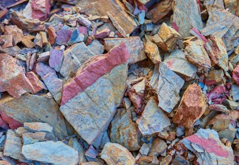 Terroir am Karthäuserhofberg.