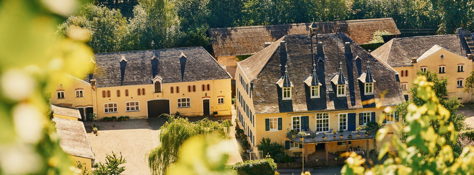 Blick auf das Weingut Karthäuserhof in Sepiafarben