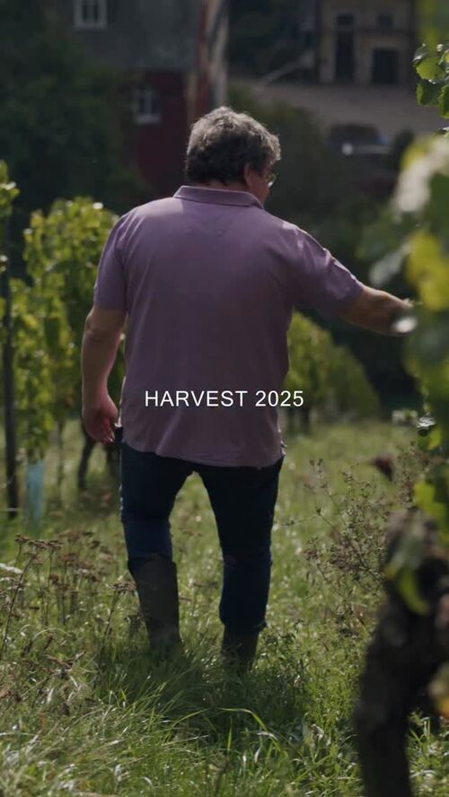 Bild des Posts "Harvest 2025 – a season of rhythm, patience, and devotion."