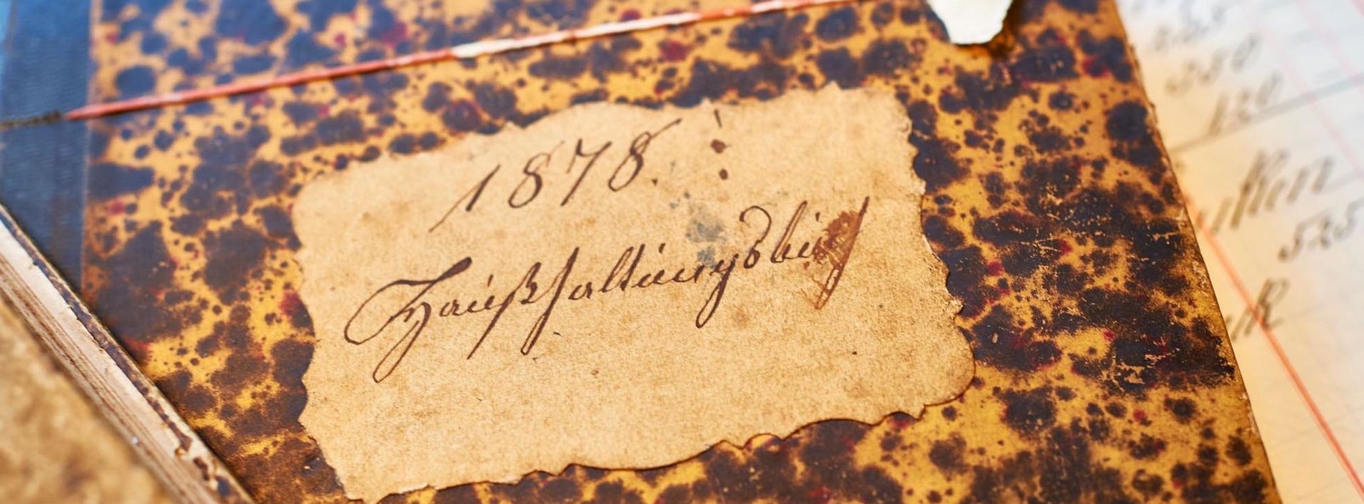 Ein altes Buch aus dem Jahre 1878.