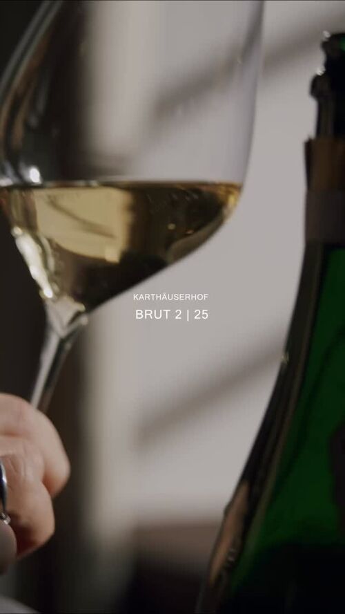 Bild des Posts "Brut 2 | 25 — now available."