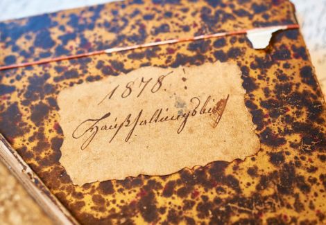 Ein altes Buch aus dem Jahre 1878.