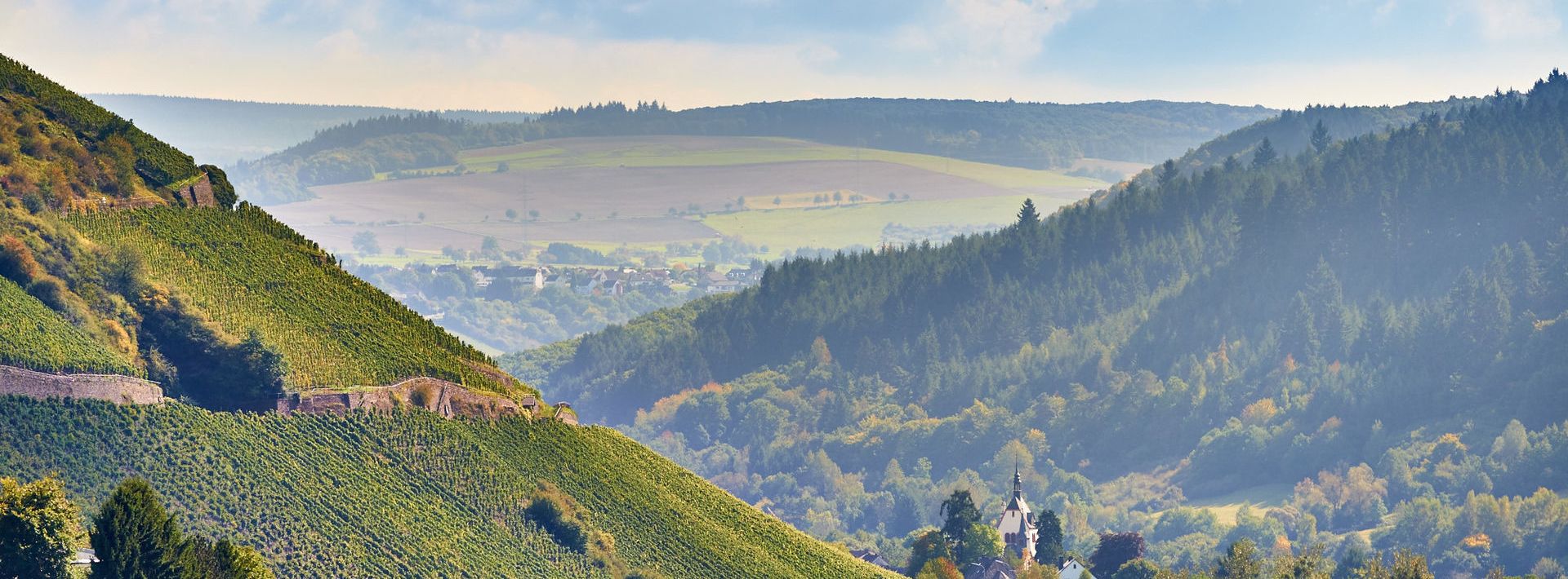 Blick in das Ruwertal.