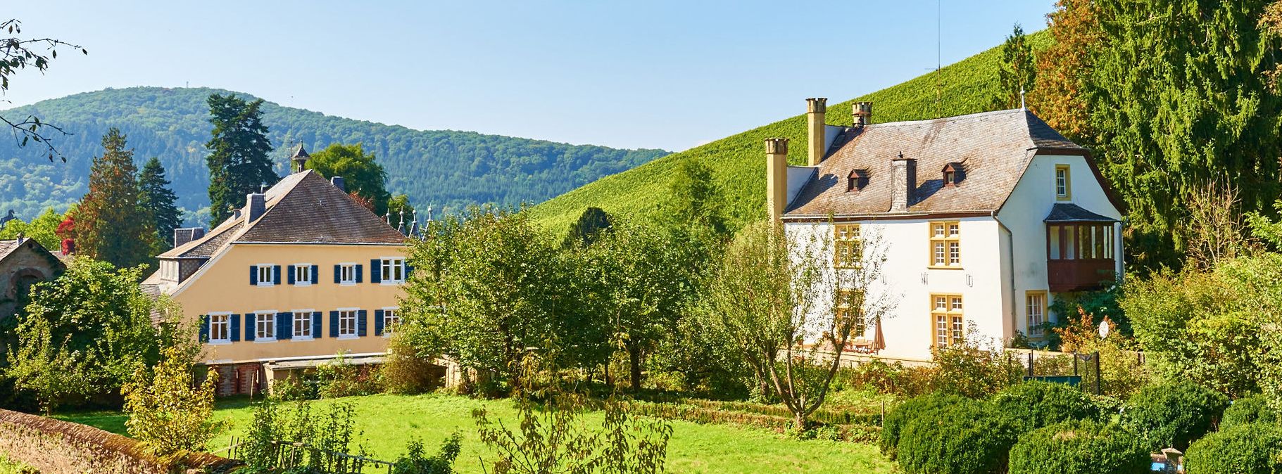 Blick auf das Weingut Karthäuserhof