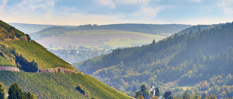 Blick in das Ruwertal.